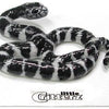 Little Critterz "King" Snake