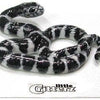 Little Critterz "King" Snake