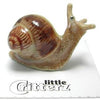 Little Critterz "Helix" Garden Snail LC532