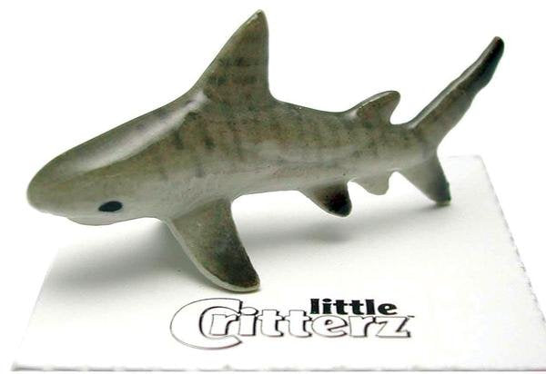 Little Critterz "Galeos" Tiger Shark