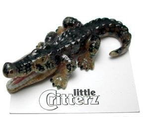 Little Critterz "Mississippi" American Alligator