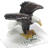Little Critterz "Ari" Bald Eagle