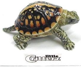 Little Critterz "Dom" Box Turtle