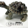 Little Critterz "Darwin" Galapagos Tortoise Porcelain Figurine