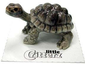 Little Critterz "Darwin" Galapagos Tortoise Porcelain Figurine