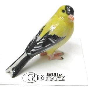 Little Critterz "Bounce" Goldfinch
