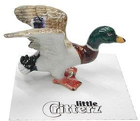 Little Critterz "Dabbler" Mallard Duck