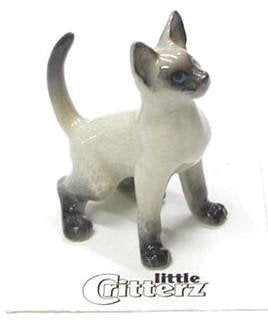 Little Critterz "Blaze" Siamese Kitten