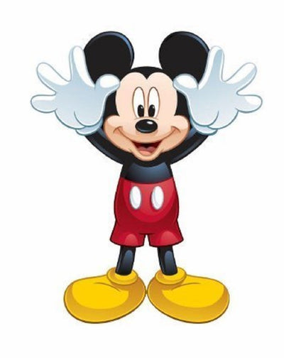 Wind n Sun Skypals Disney Mickey Mouse Nylon 29" Nylon Kite