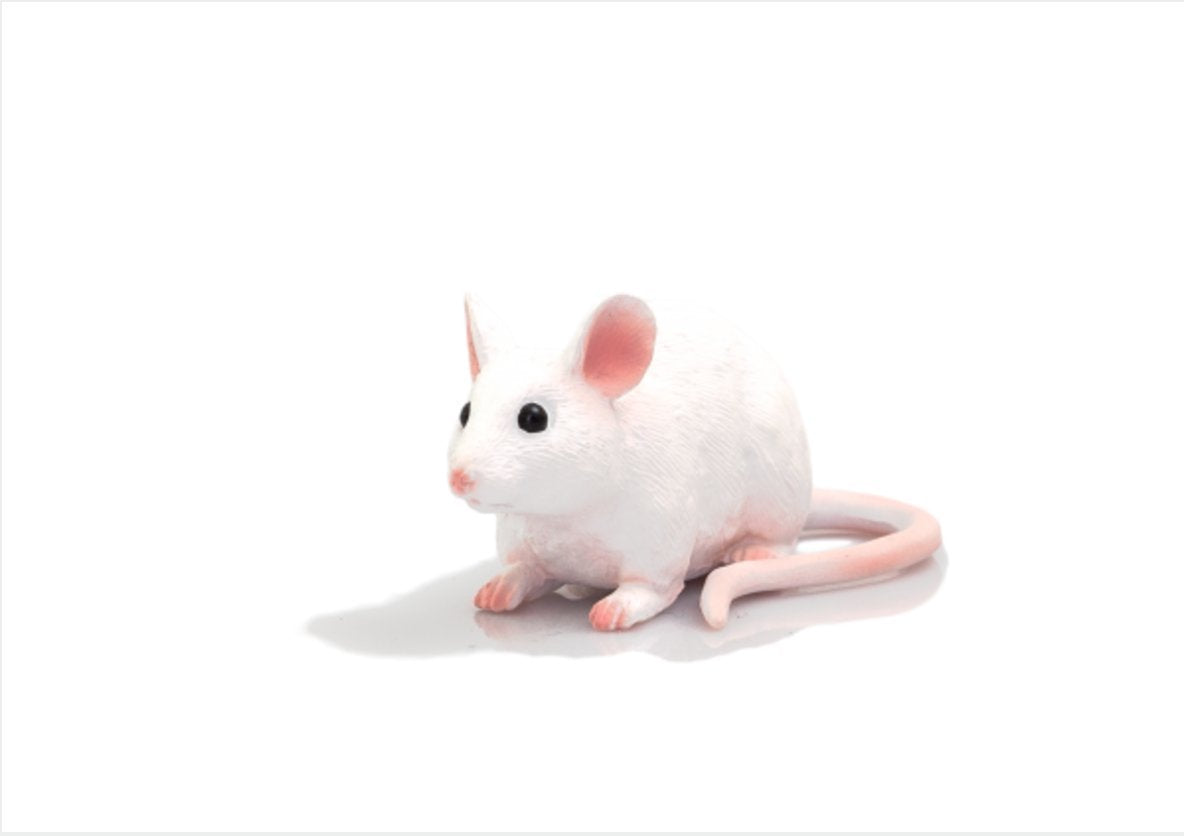 Mojo White Mouse Toy Figurine