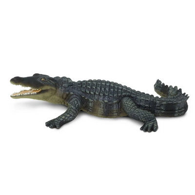Safari Crocodile