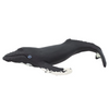 Humback Whale