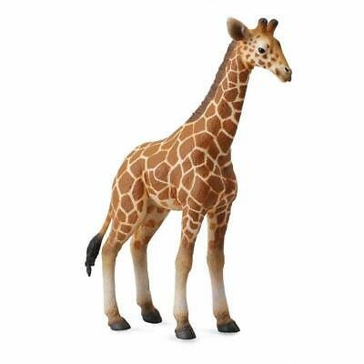 Collecta Reticulated Giraffe Calf