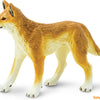 Safari Ltd. Dingo