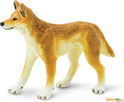 Safari Ltd. Dingo