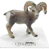 Little Critterz "Clash" Bighorn Sheep