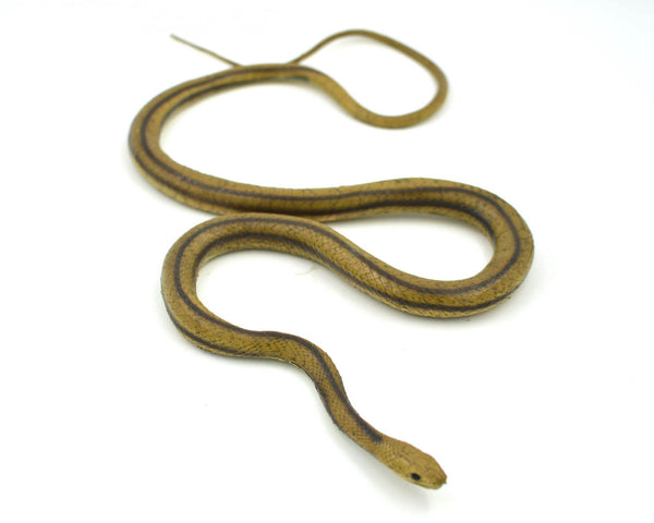 Mamejo Nature Rubber Yellow Rat Snake