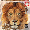 Lion Face 367pc
