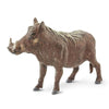 Safari Ltd. Warthog