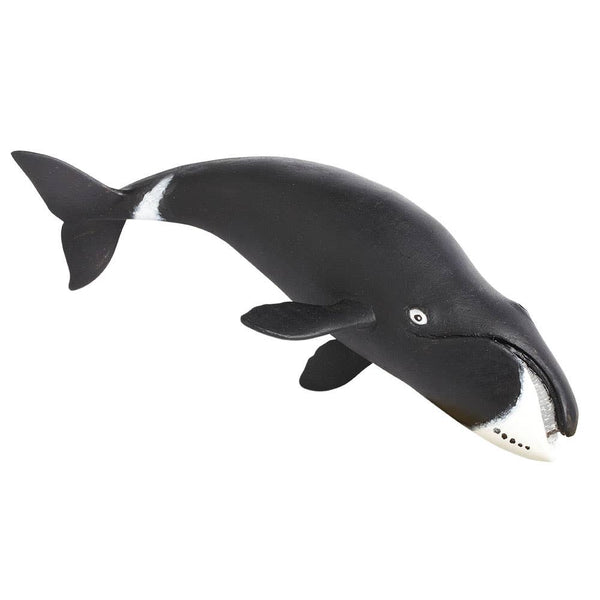 Safari Ltd. - Bowhead Whale  Toy Figurine