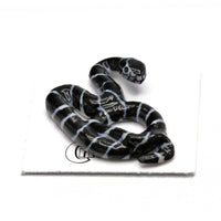 Little Critterz "King" Snake Porcelain Miniature