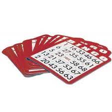 Party Bingo Cards 100 Card Set