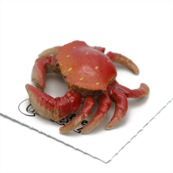 Little Critterz "Angeles" Dungeness Crab Porcelain Miniature