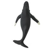 Humback Whale