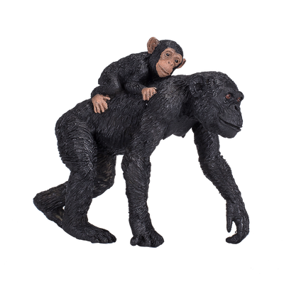 Mojo Chimpanzee with baby