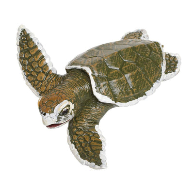 Duplicate SKU: Safari Ltd. - Kemps Ridley Sea Turtle Baby - 267429 | 8.99 | 267429