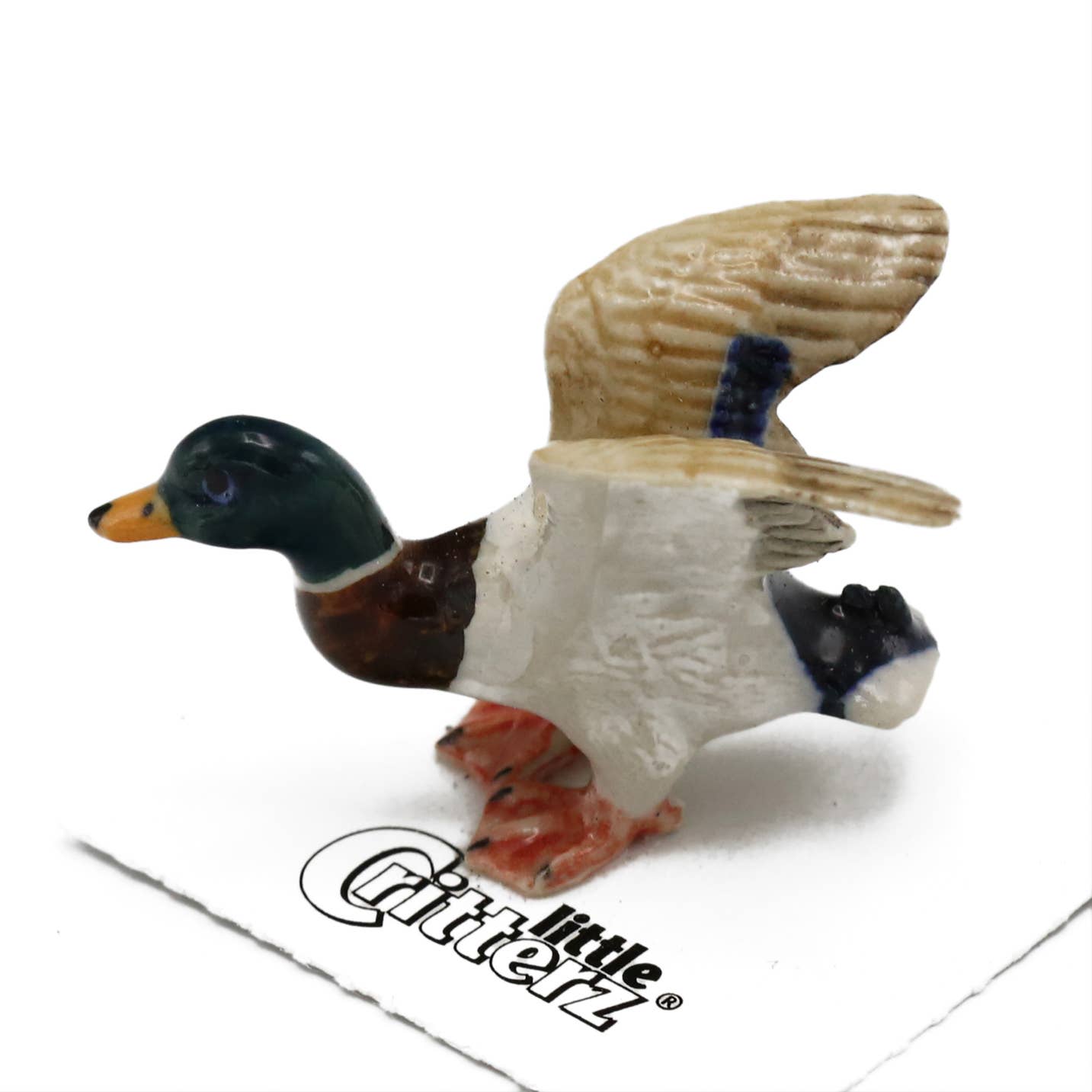 Little Critterz "Dabbler" Mallard Duck