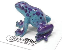 Little Critters Sapphire Blue Dart Frog