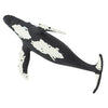 Humback Whale