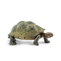 Safari Ltd. - Desert Tortoise - 295329