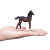 Mojo Hanoverian Foal