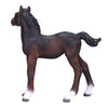 Mojo Hanoverian Foal