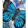 X-Kites 27 in Nylon Yellow Butterfly