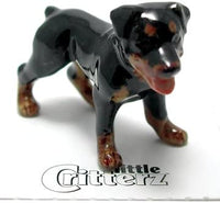 Little Critterz Raina Rottweiler Figurine