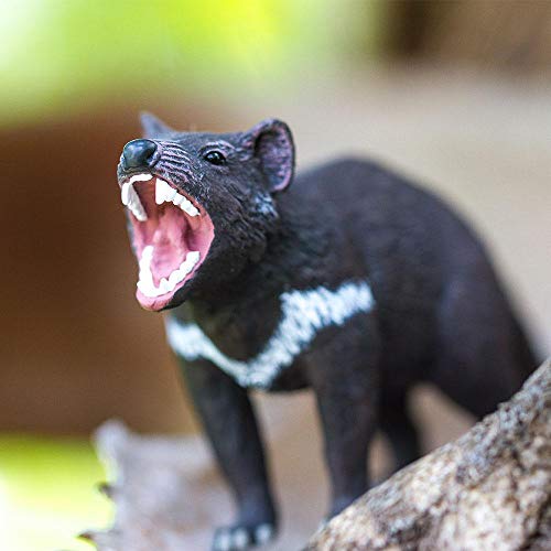 Safari Ltd. Tasmanian Devil