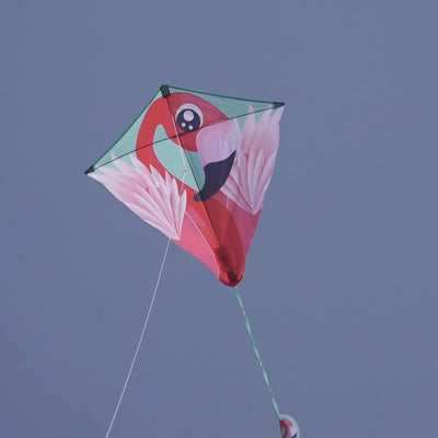 X Kites DLX Diamond Flamingo Nylon Deluxe Diamond Kite, 26 Inches Wide