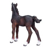 Mojo Hanoverian Foal