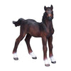 Mojo Hanoverian Foal