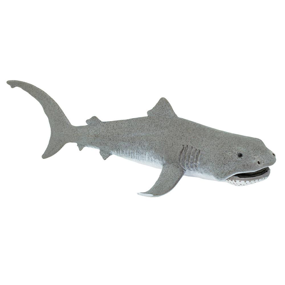 Safari Ltd Megamouth Shark