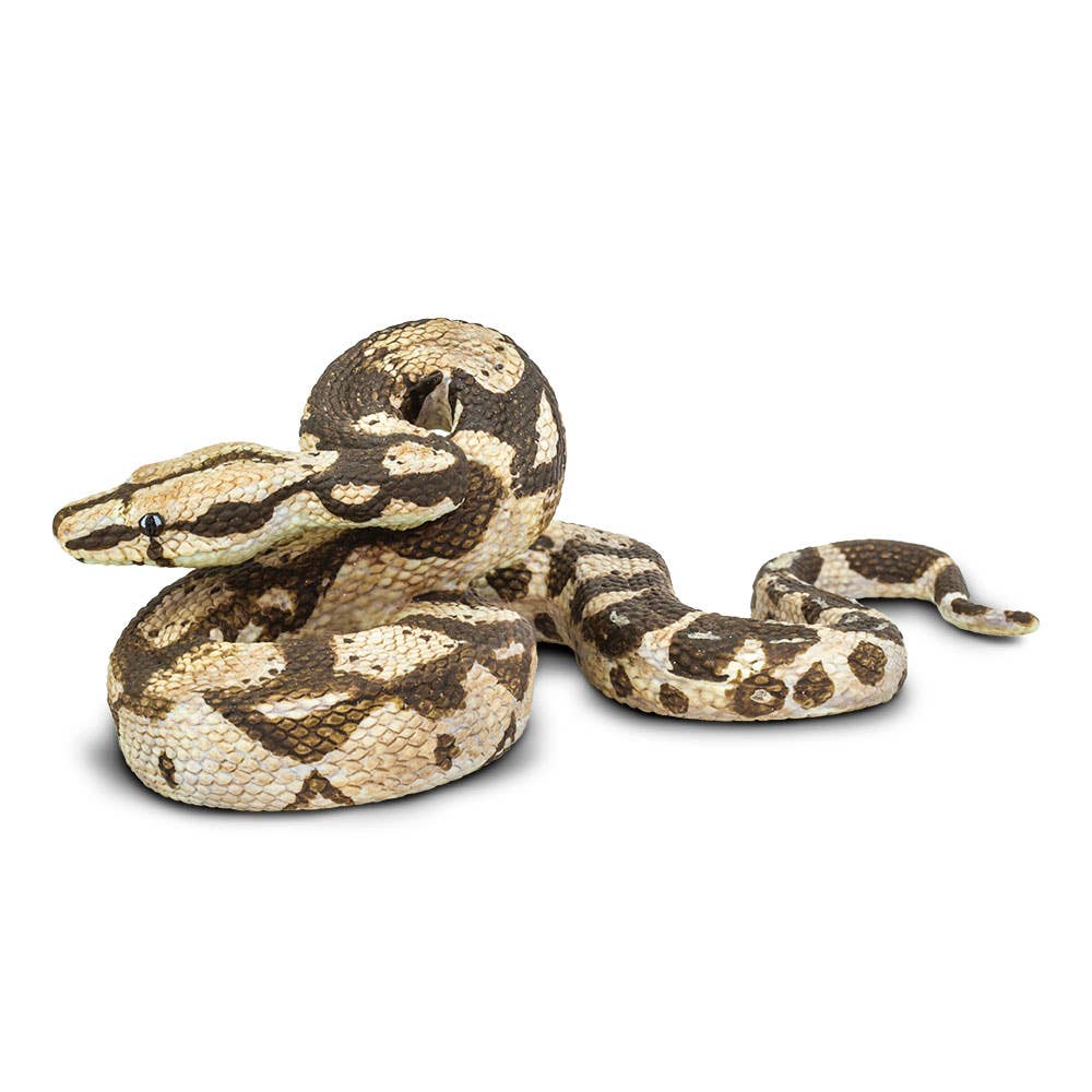 Safari Ltd. Boa Constrictor