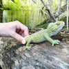 Safari Ltd Tuatara