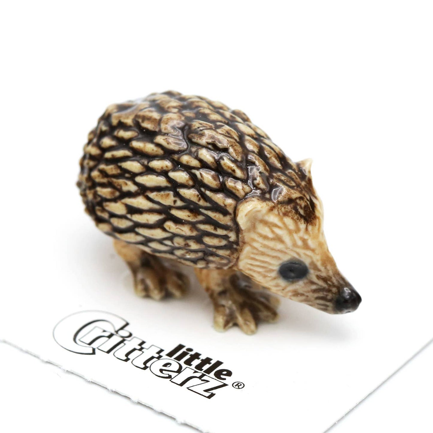 Little Critterz "Tiggy" Hedgehog