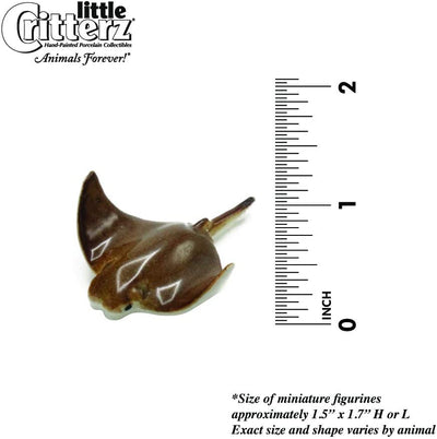 Little Critterz "Crunch" Cownose Ray