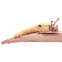 Finger Puppet Banana Slugs