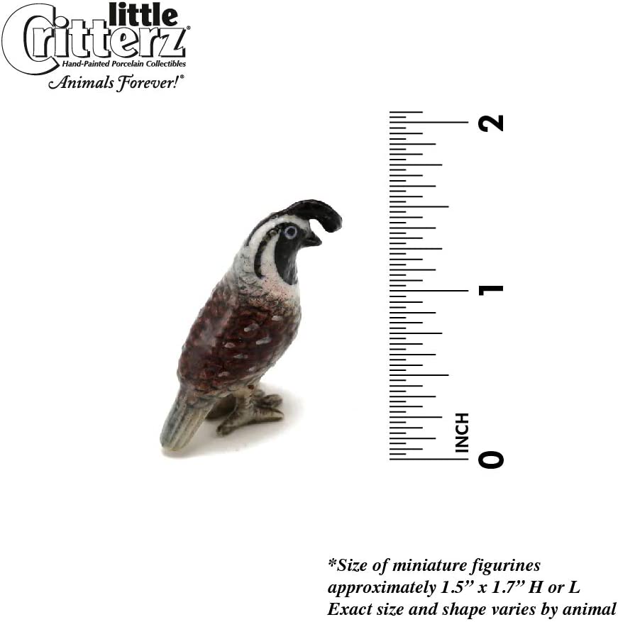 Duplicate SKU: Little Critterz "Valley California Quail Hand Painted Porcelain Figurine | 12.99 | 19218