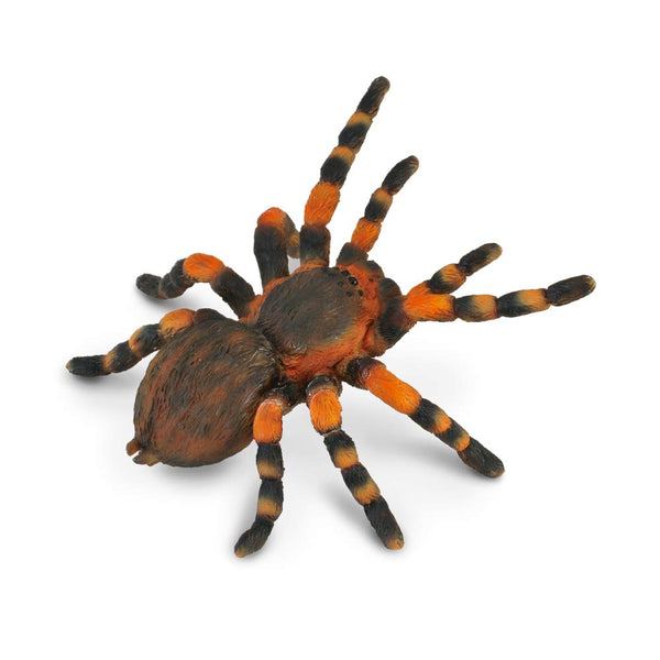 CollectA Insects Mexican Redknee Tarantula Toy Figure
